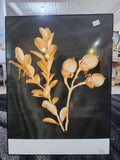 Beautiful Flower Art Wall Flames