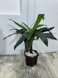 Luxury Flower Vase Decor